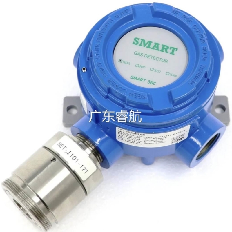 Smart Gas Detector S2654ME气体检测仪甲烷议价