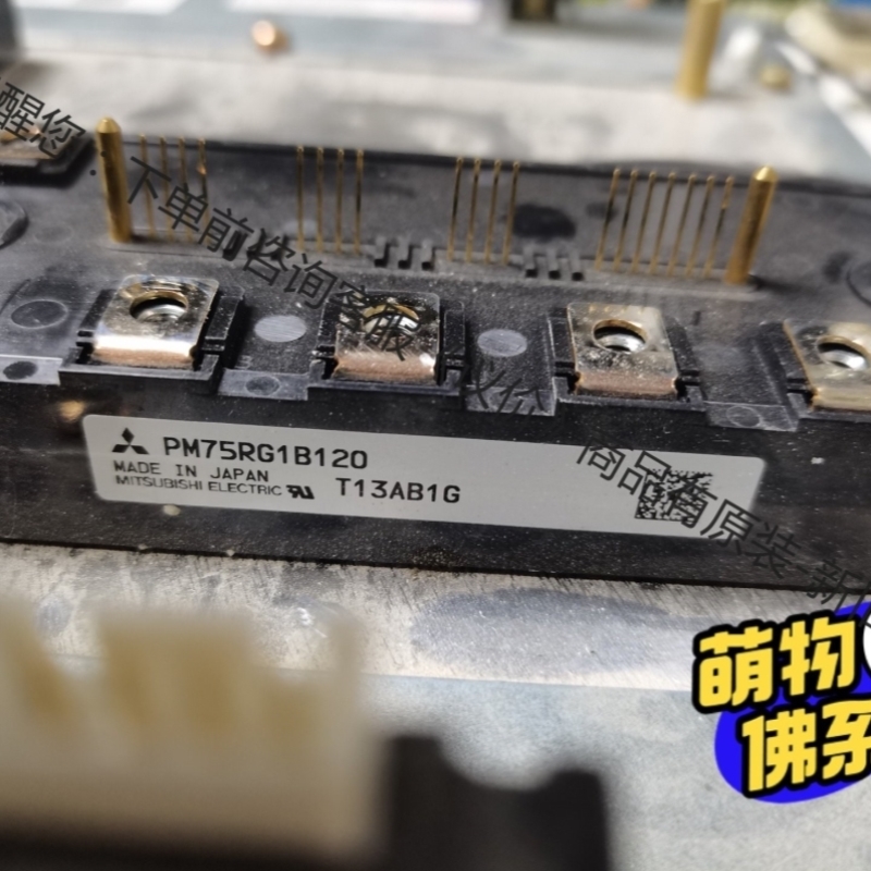 PM75RG1B120,PM100RG1B120
