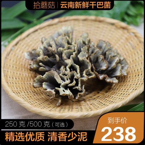 精选优质云南名菌味道特别香