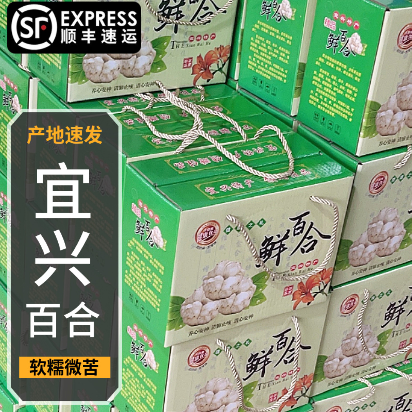 2025现挖宜兴新鲜百合礼盒装散装土特产食用微苦无硫当季顺丰包邮