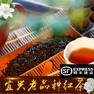 宜兴红茶2026春茶袋装礼品茶叶小叶老品种250g500g阳羡