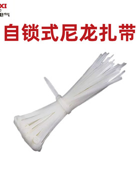 德力西电气电线扎带2.5/3.6/4.8*120/150/200mm自锁式尼龙扎带