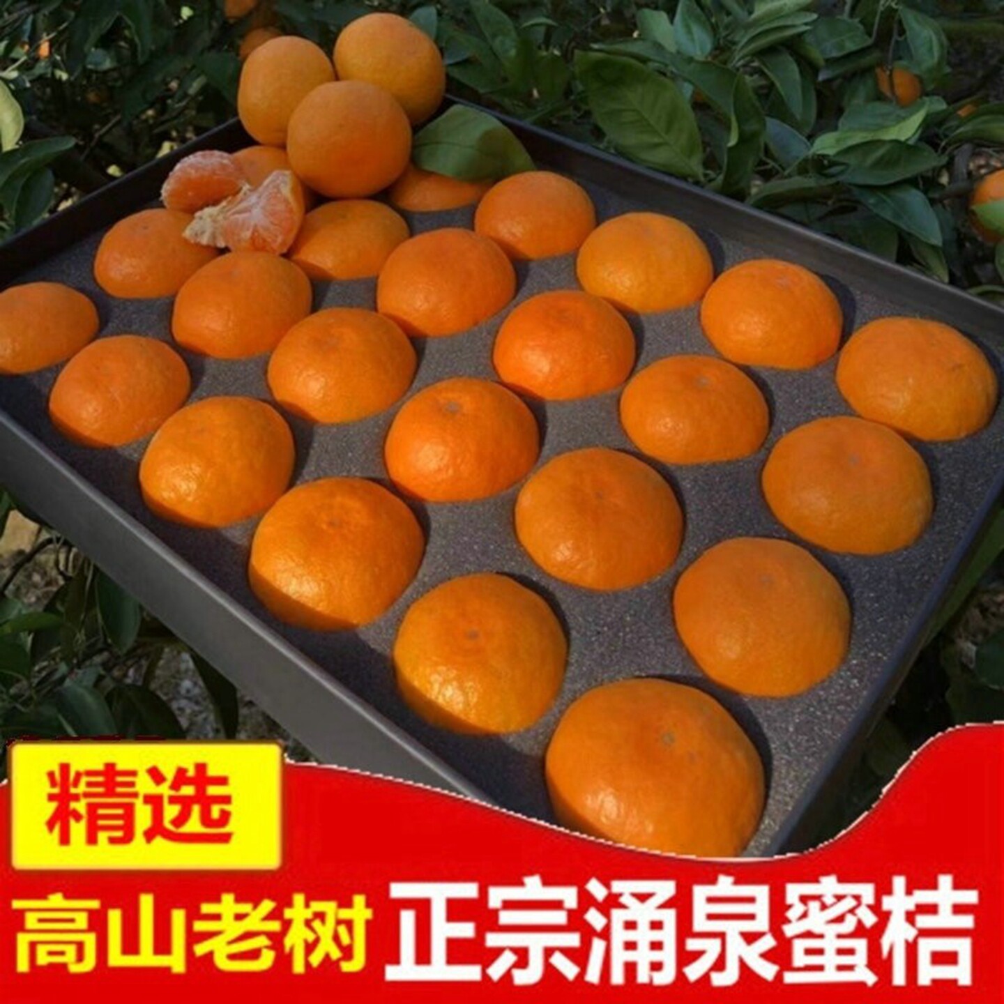 正宗涌泉蜜桔高山老树临海橘子黄岩早熟宫川新鲜水果甜礼盒颗粒装
