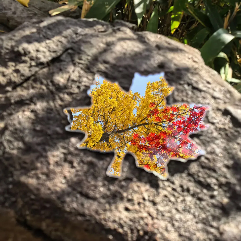 枫叶异形化妆镜简约现代