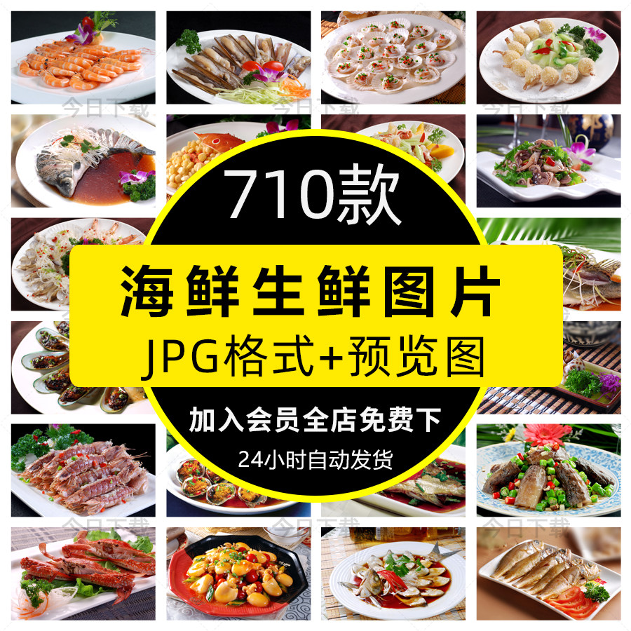 海鲜水产海鱼美食菜品高清图片鱿鱼螃蟹菜单海报摄影jpg设计素材