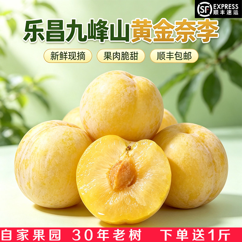 广东乐昌九峰山黄金奈李子新鲜孕妇水果爽脆甜冰糖蜂蜜恐龙蛋包邮