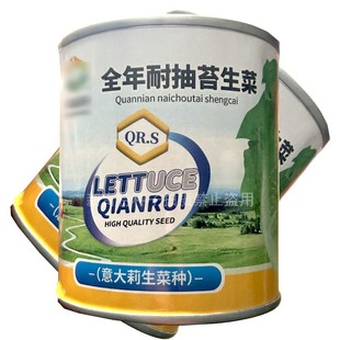 全年耐抽苔生菜种子意大莉生菜种籽叶半直立叶片青绿口感脆嫩