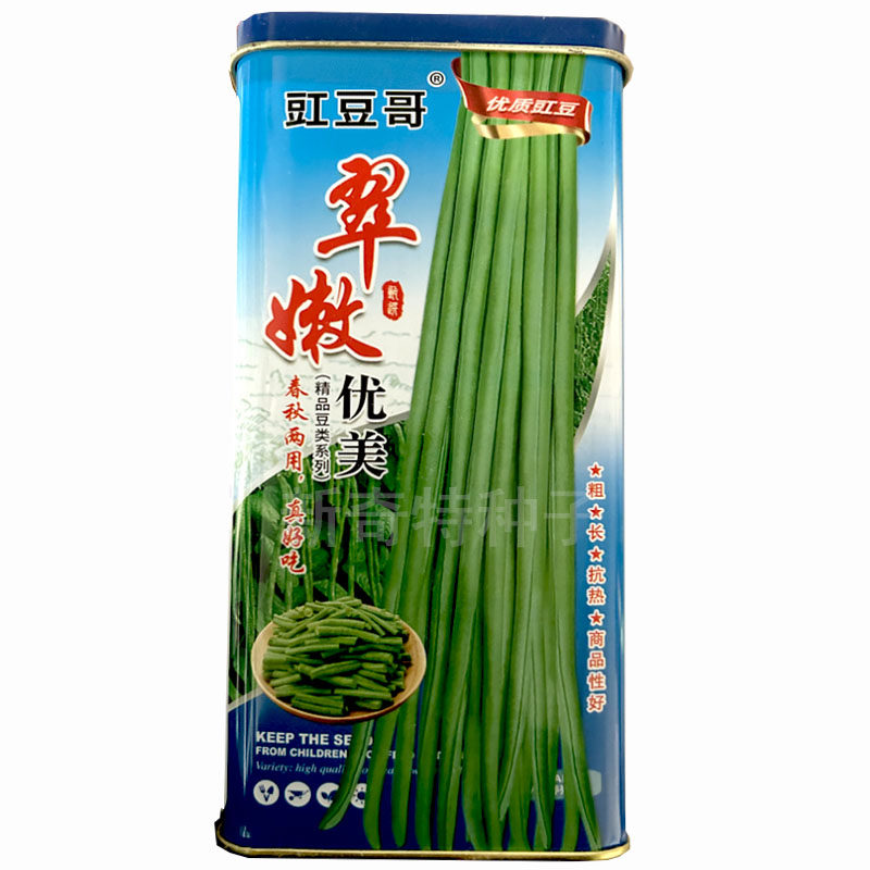 青条长豇豆种籽早熟深绿条