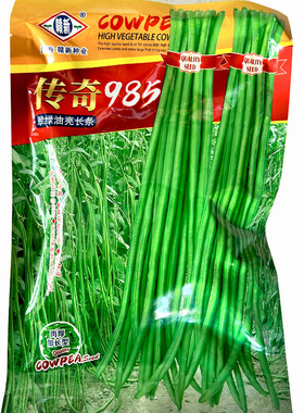 传奇985翠绿色油亮耐热白籽白花长条粗赣新豆角豇豆种子200g无鼠