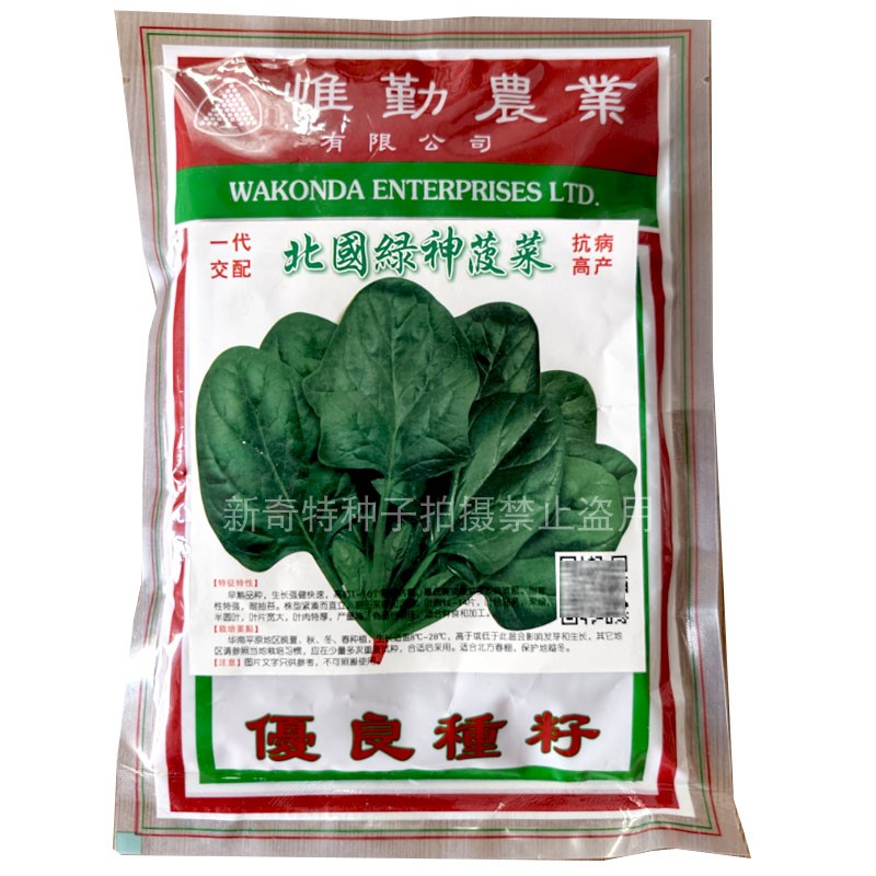 北国绿神菠菜种子杂交抗病 早熟高产耐寒深绿色半圆叶宽厚肉厚