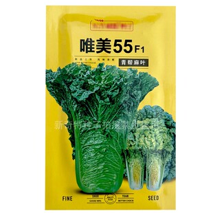 唯美55青帮麻叶白菜种子杂交早熟10g直简青麻叶黄芯4斤秋播大白菜