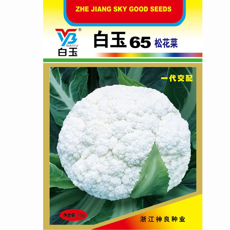 白玉松花菜种子一代杂交种籽