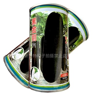 黑金刚冬瓜种籽杂交铁心黑皮大冬瓜种子长圆柱厚肉转黑快蔬菜种子