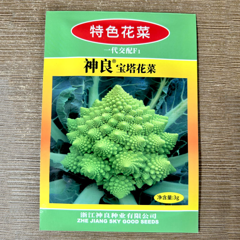 農家3g寶塔花菜種子陽臺庭院盆栽