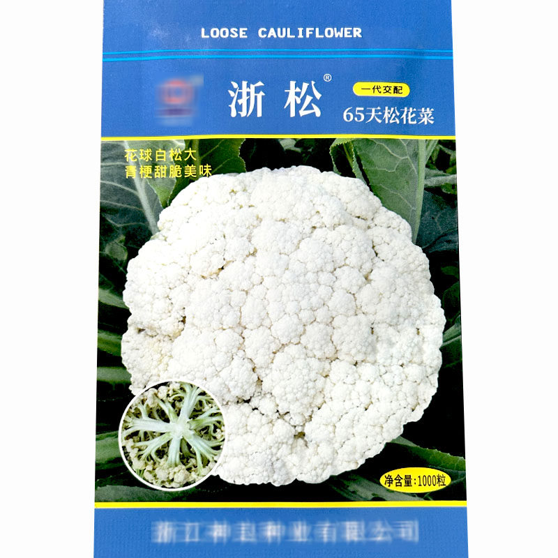 浙松65天青梗松花菜种子1000粒花球白松早中熟白菜花基地耐热耐寒