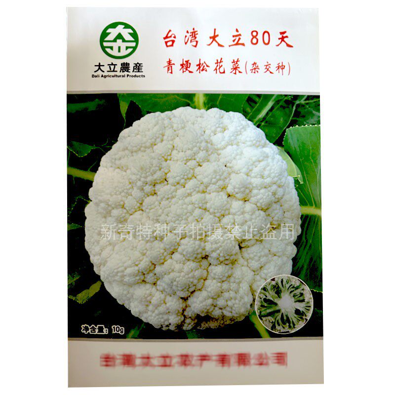 台湾大立80天青梗松花菜种子2000粒中晚熟耐寒青绿梗花椰菜种子