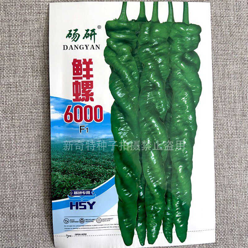 鲜螺6000中早熟螺丝椒种子抗病高产螺旋好长果螺丝椒种籽基地种