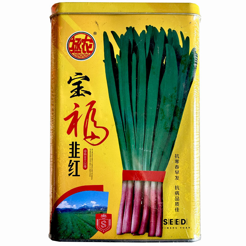 宝福韭红根韭菜种子休眠型红根韭菜种子耐寒独根红紫根基地菜农