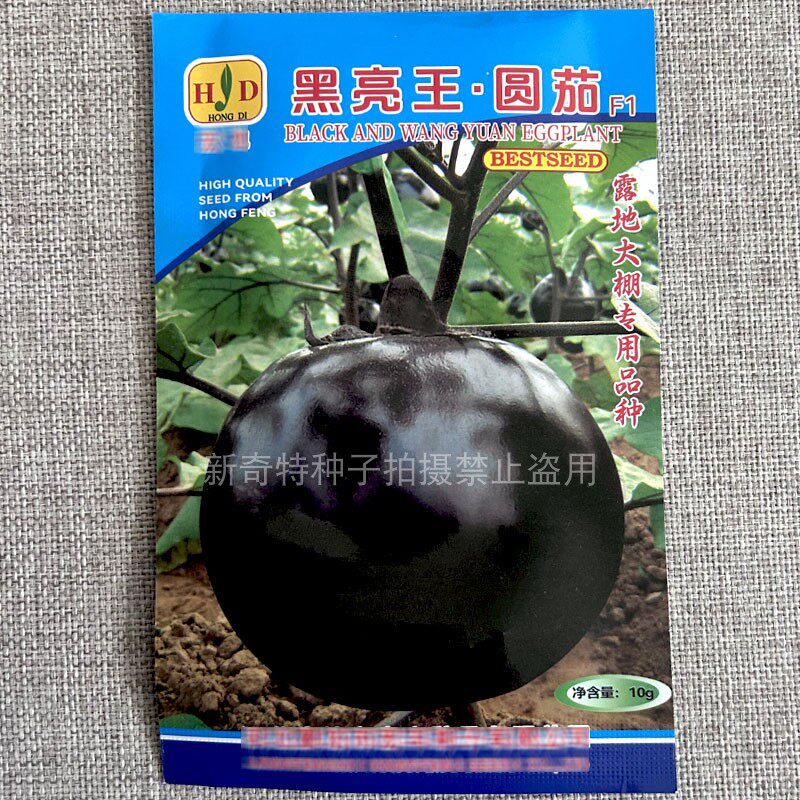 黑亮王圆茄种子黑紫色茄子种籽10g白色果肉细嫩春秋露地大棚专用