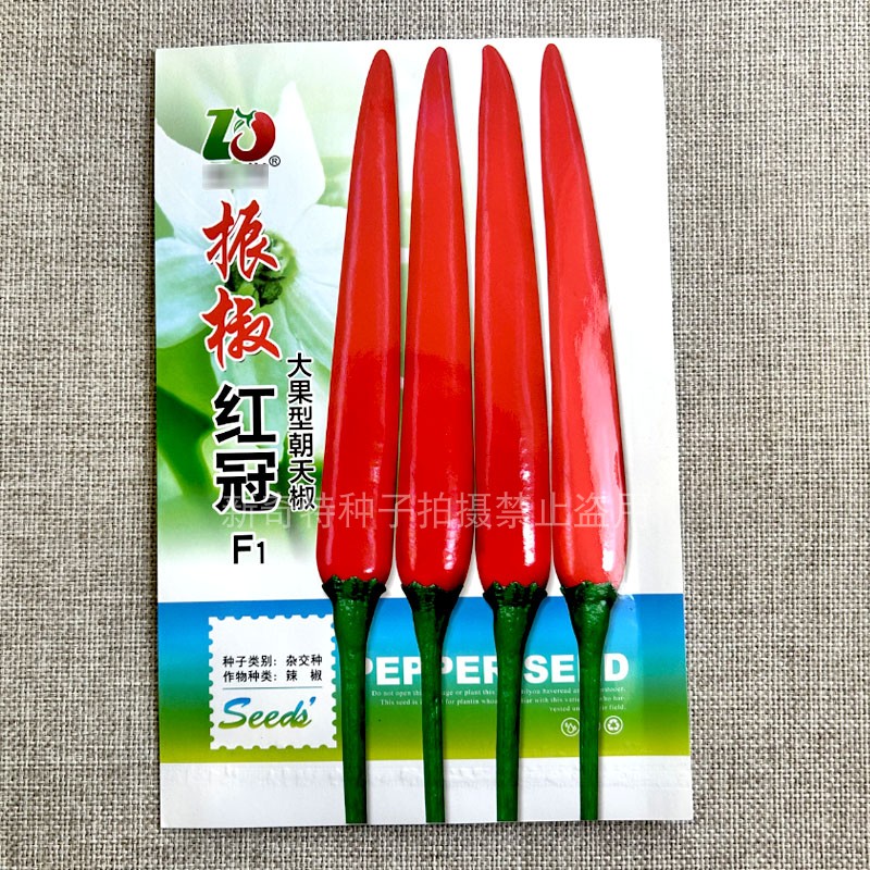 振椒辣椒种子大果型红冠朝天椒F1挂果多蔬菜种子高产红辣椒种籽