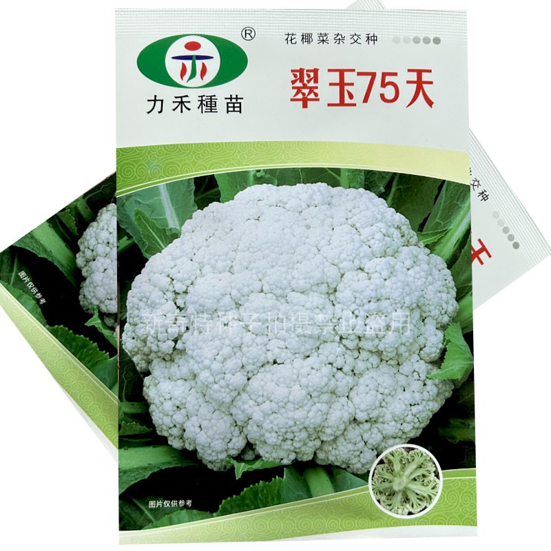 力禾种苗翠玉75天青梗松花菜种子翠玉6171白花菜花椰菜春秋