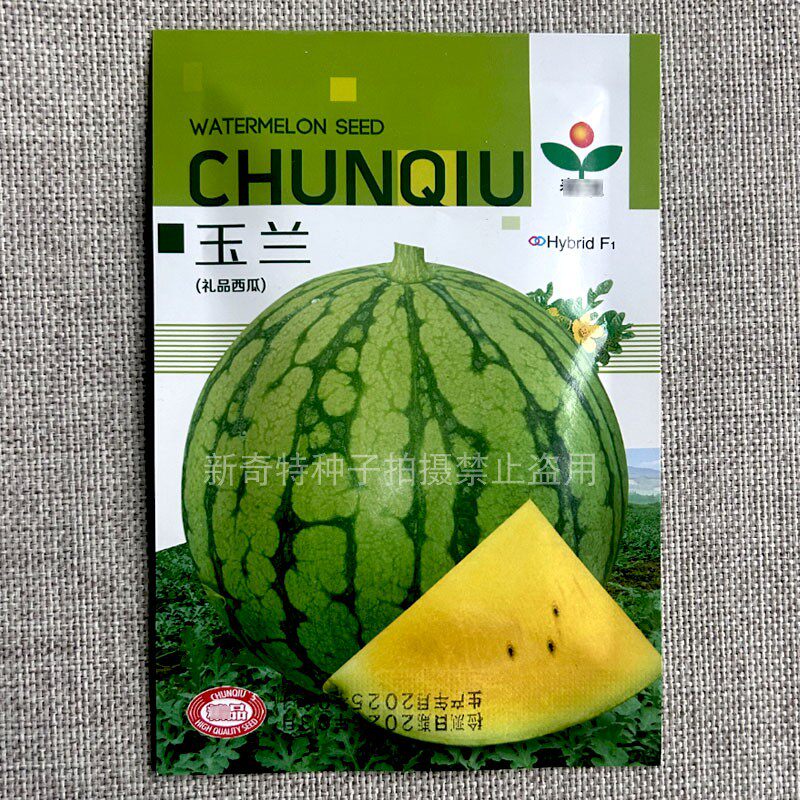 玉兰礼品西瓜种子200粒橙黄色瓤圆形小西瓜籽薄皮黄肉小西瓜