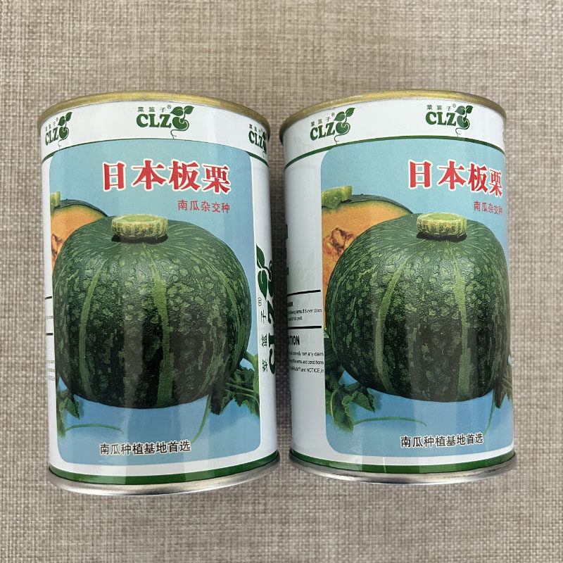 日本板栗南瓜种子抗病