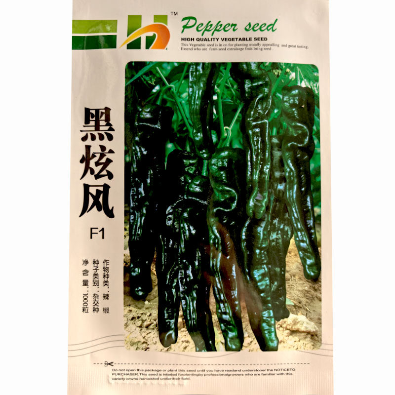黑皱皮辣椒种子春秋播抗病
