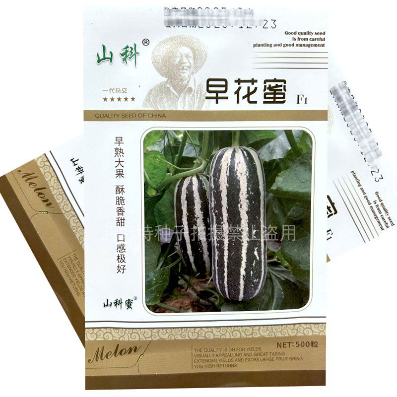 早花蜜甜瓜种子早熟大果薄皮酥脆香甜500粒绿肉桔瓤大田基地品种