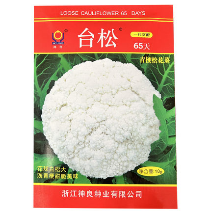 台松65天青梗松花菜种子早熟花球白花菜耐寒耐湿大田基地