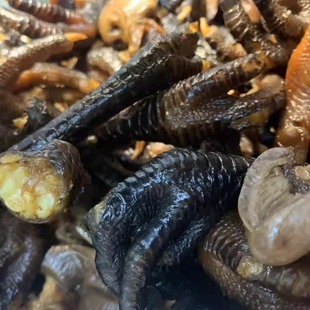 古蔺聂墩墩麻辣鸡爪 鸡杂 古蔺第一家(下单备注,默认混合装)