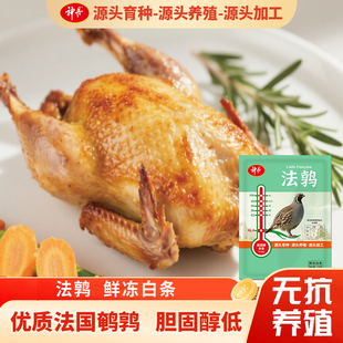 神丹肉品法鹑炖汤烧烤爆炒下酒菜胆固醇低营养美食170g 袋