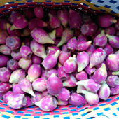 包邮 仙人掌果 红皮小果1斤2斤 新鲜水果 现摘现发 仙人掌果实