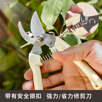 园艺剪刀修枝剪花艺剪树修枝神器鲜花剪子嫁接修剪摘果剪枝枝条