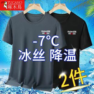 啄木鸟潮流冰丝凉快短袖t恤男士夏季网眼宽松百搭印花速干衣体恤