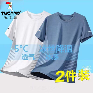 透气T恤1 啄木鸟冰丝t恤男速干夏季 半袖 上衣网眼宽松大码 2件 短袖