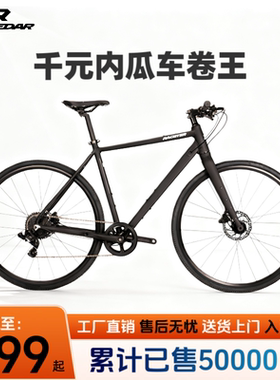 支持定制瑞仕达999平把公路车瓜车桶轴油刹油碟培林轮组通勤健身