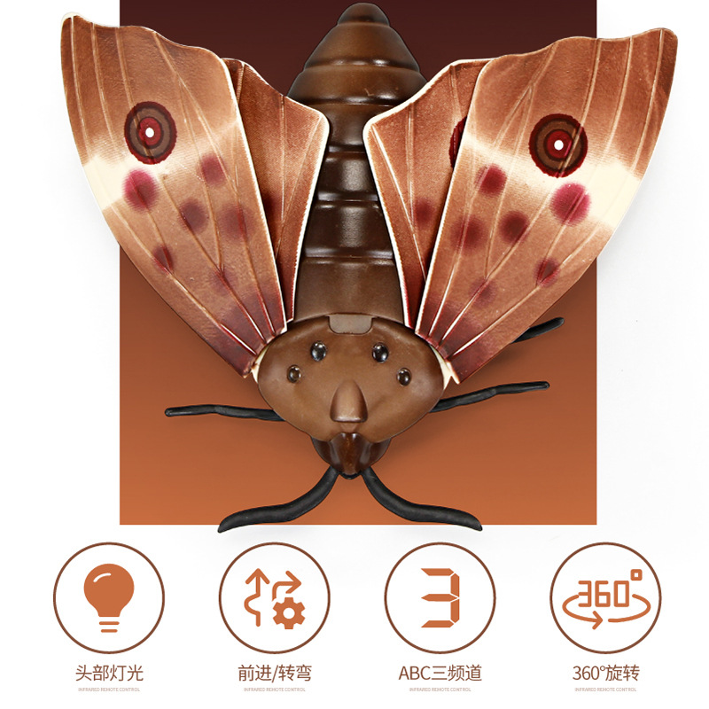 新奇特遥控动物仿真飞蛾头部灯光电动爬行整蛊昆虫模型玩具礼物
