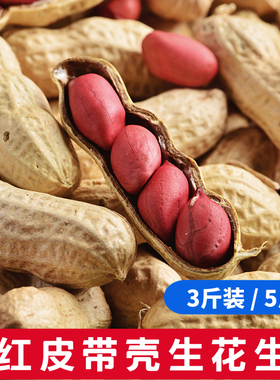 新货东北红皮带壳生花生带壳花生种子米新鲜晒干农家米3斤5斤10斤