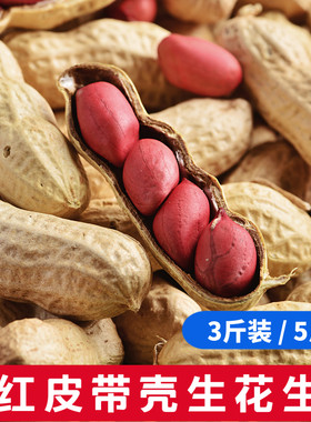 新货东北带壳花生种子农家
