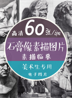 石膏头像临摹电子图片