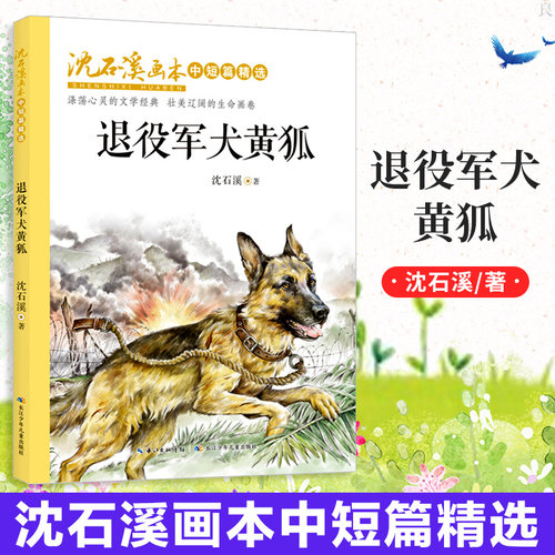 沈石溪画本 · 中短篇精选：退役军犬黄狐 第七条猎狗 藏獒渡魂 狼种 我忠诚的动物朋友系列