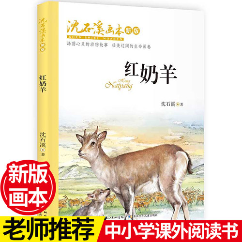 沈石溪画本 · 红奶羊（新版）  获奖作品画本动物小说大王新版精美插画老师推荐小学生四五六年级书籍6-8-10-12岁【出版社直发】