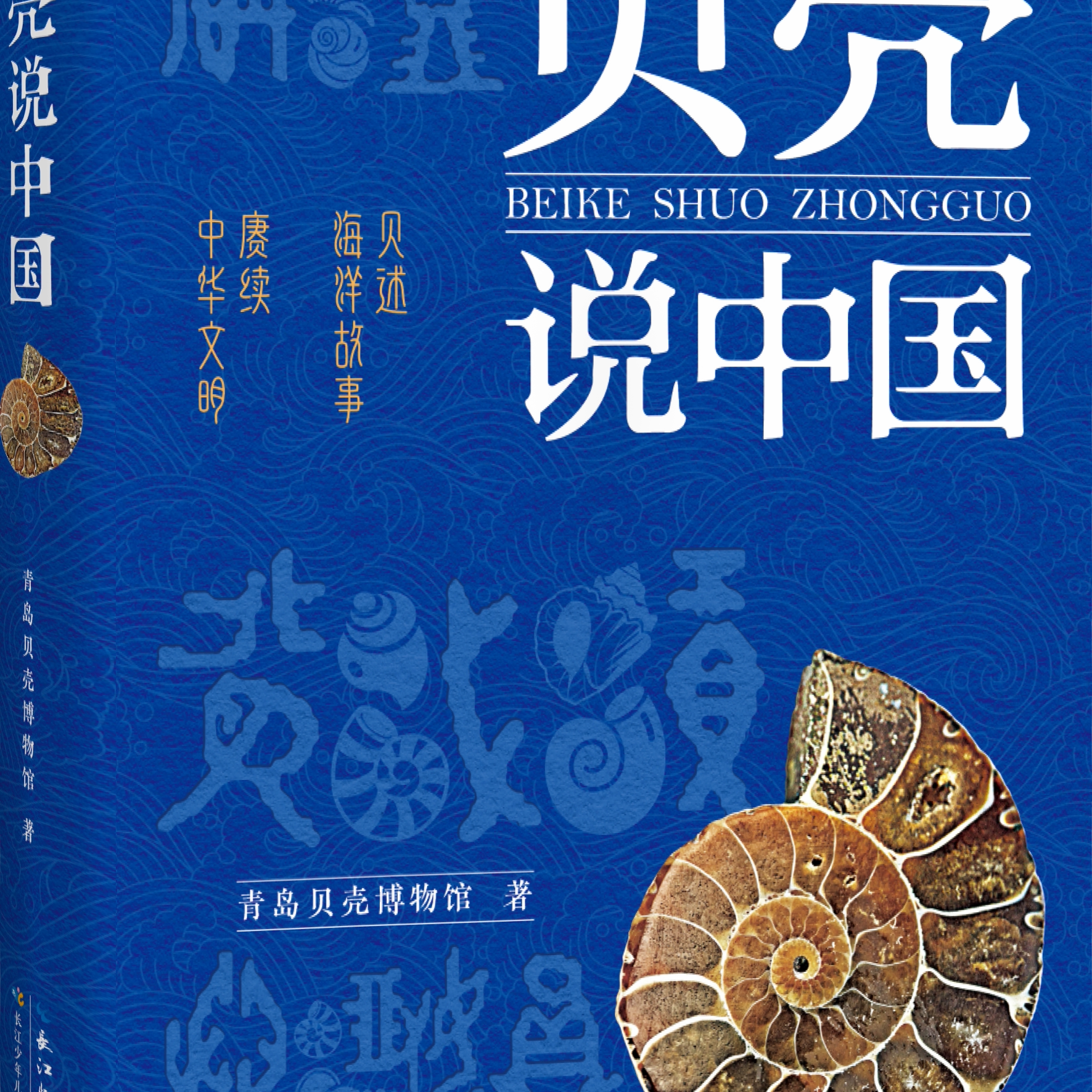 贝壳说中国，一部视角独特立意宏阔纸上博物馆以贝壳为引，巧妙串联起中华文明在美食货币丝绸之路汉字及民俗等领域的深厚脉络