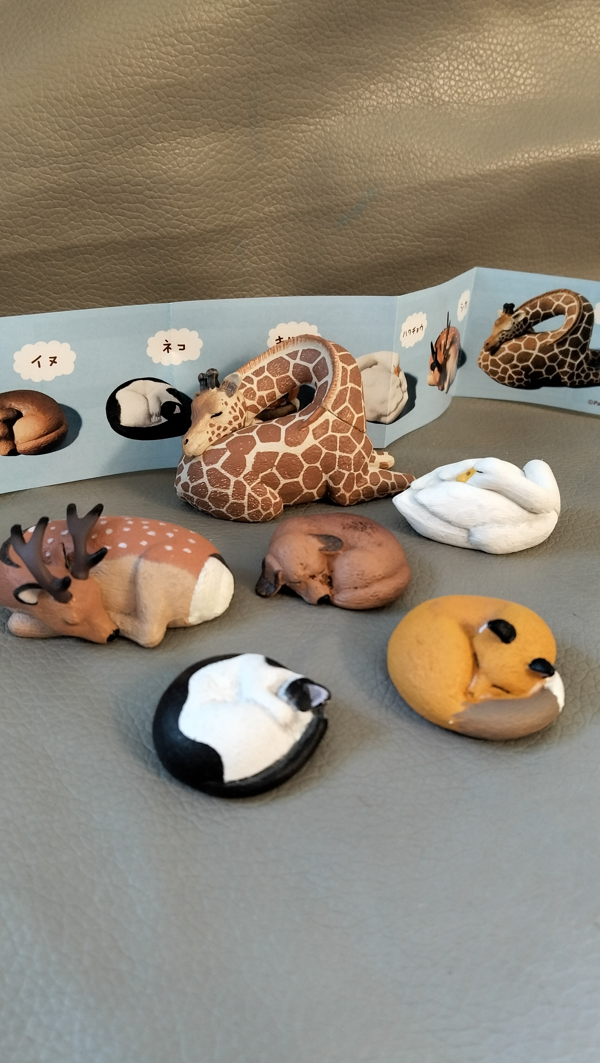 正版散货TOMY熊猫之穴休眠动物园八弹长颈鹿狗猫狐狸白鹅扭蛋