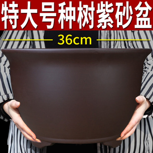 宜兴紫砂兰花盆圆口君子兰花盆专用中小筒盆景盆栽室内阳台陶瓷盆