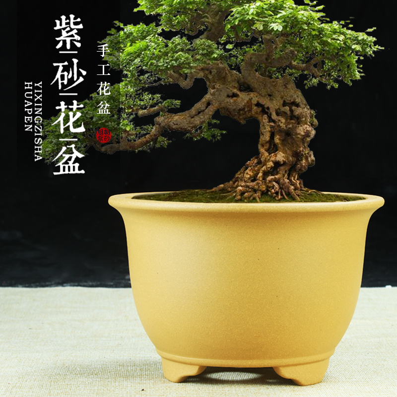 宜兴紫砂大口径花盆特价清仓兰花盆绿植种菜种树圆形陶瓷盆景盆