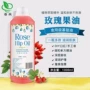 Dầu hoa hồng đích thực 1000ml tinh dầu cơ bản massage dầu cạo cơ thể tự làm son môi son môi dầu - Tinh dầu điều trị tinh dầu thơm