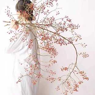 山归来鲜切花水培枝条绿植物做干枝干花蔷薇果干花永生花材诧寂风