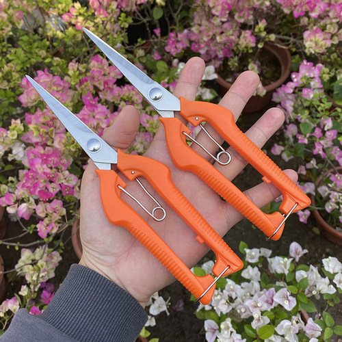 摘果剪花枝修剪修枝修花树剪刀修枝剪剪树枝花剪强力剪枝专用剪刀